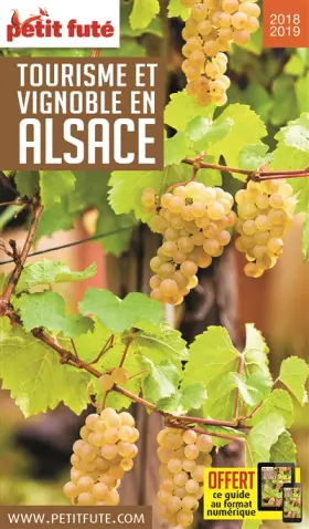 Couverture du produit · Guide Tourisme et Vignoble en Alsace 2018-2019 Petit Futé