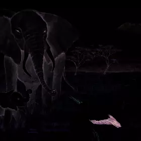 Couverture du produit · Toni le cigogneau - Au coeur de l'Afrique