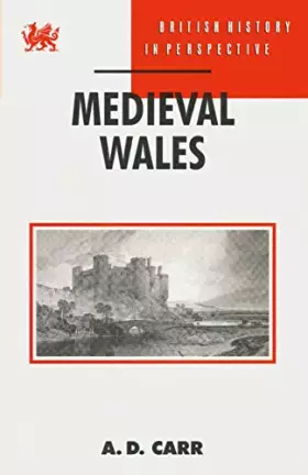 Couverture du produit · Medieval Wales (British History in Perspective, 108)
