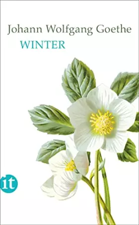 Couverture du produit · Winter (insel taschenbuch)