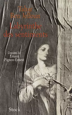 Couverture du produit · Labyrinthe des sentiments