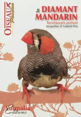 Couverture du produit · Le Diamant Mandarin