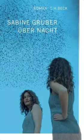 Couverture du produit · Über Nacht: Roman
