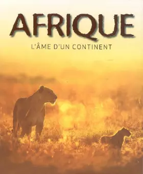 Couverture du produit · Afrique : L'âme d'un continent