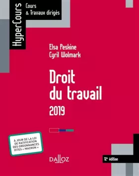 Couverture du produit · Droit du travail 2019 - 12e éd.