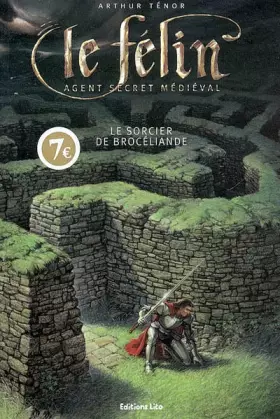 Couverture du produit · Le Félin : Le sorcier de Brocéliande ( périmé )