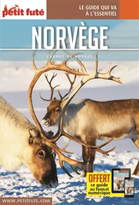 Couverture du produit · Norvege 2019 Carnet Petit Fute+Offre Num