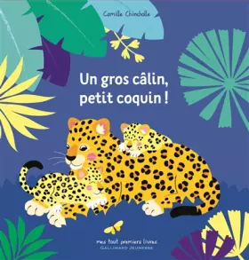 Couverture du produit · UN GROS CALIN, PETIT COQUIN