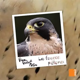 Couverture du produit · Le faucon pèlerin