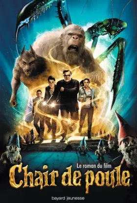 Couverture du produit · LE ROMAN DU FILM CHAIR DE POULE