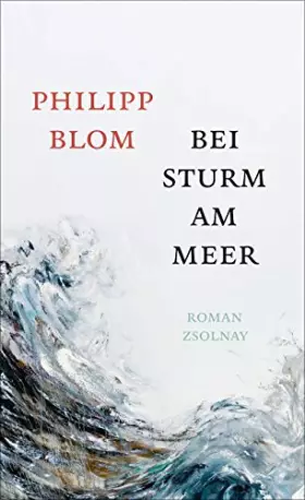 Couverture du produit · Bei Sturm am Meer: Roman