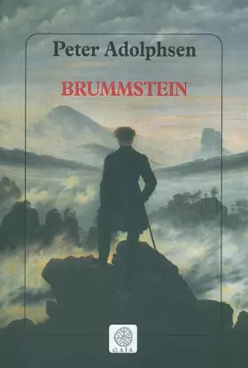 Couverture du produit · Brummstein