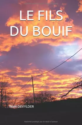 Couverture du produit · LE FILS DU BOUIF (Les 30 glorieuses et les 40 suivantes) (French Edition)