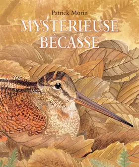 Couverture du produit · Mystérieuse bécasse