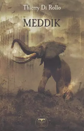 Couverture du produit · Meddik