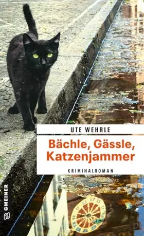 Couverture du produit · Bächle, Gässle, Katzenjammer: Kriminalroman (Journalistin Katharina Müller)
