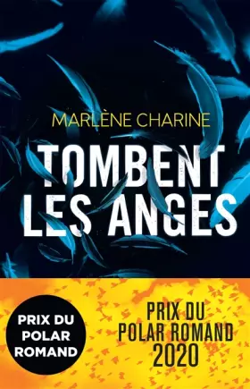 Couverture du produit · Tombent les anges