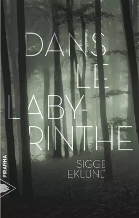 Couverture du produit · Dans le labyrinthe