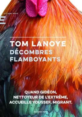 Couverture du produit · Décombres flamboyants