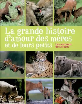 Couverture du produit · La grande histoire d'amour des mères et de leurs petits : Les animaux de la forêt
