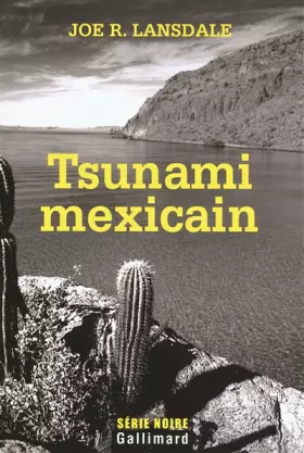 Couverture du produit · Tsunami mexicain: Une enquête de Hap Collins et Leonard Pine