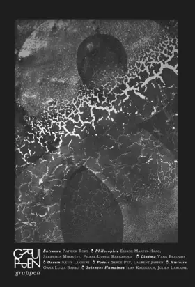 Couverture du produit · Gruppen N 8