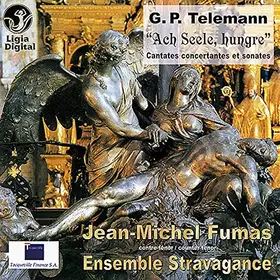 Couverture du produit · Cantates concertantes pour alto solo