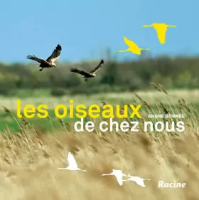 Couverture du produit · Les oiseaux de chez nous: Alouettes, bouvreuils, martinets, moineaux, geais, cigognes, faucons pèlerins...