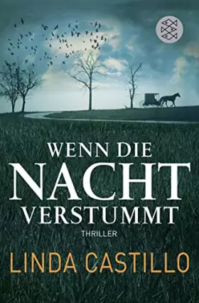 Couverture du produit · Wenn die Nacht verstummt
