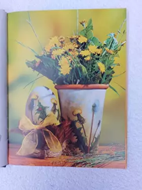 Couverture du produit · Das grosse Servietten-Technik-Buch. Die schönsten Deko-Ideen rund ums Jahr