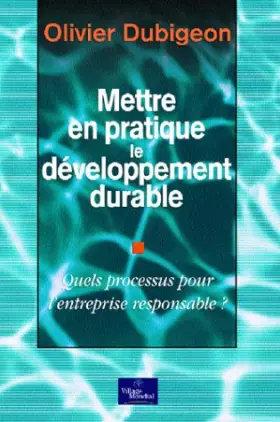 Couverture du produit · Mettre en pratique le développement durable : Quel processus pour l'entreprise responsable ?