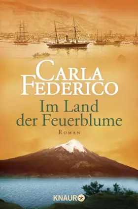 Couverture du produit · Im Land der Feuerblume: Roman