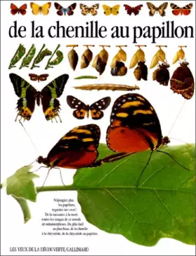 Couverture du produit · DE LA CHENILLE AU PAPILLON