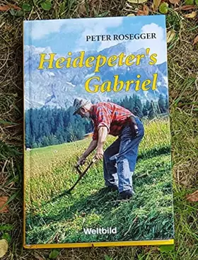 Couverture du produit · Heidepeter's Gabriel : eine Geschichte in zwei BÃƒ¼chern 1886 [Hardcover]