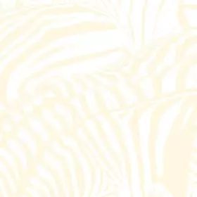 Couverture du produit · Teen Dream [CD + DVD] by Beach House (2010-01-26)