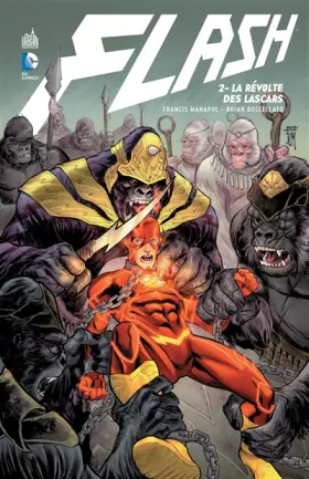 Couverture du produit · FLASH - Tome 2