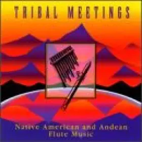 Couverture du produit · Native American & Andean Flute Music