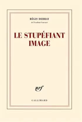 Couverture du produit · Le stupéfiant image: De la grotte Chauvet au Centre Pompidou