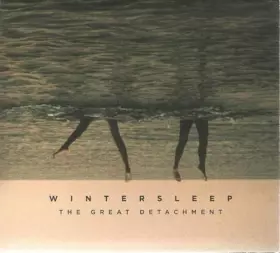 Couverture du produit · The Great Detachment