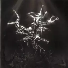 Couverture du produit · The Silver Tree