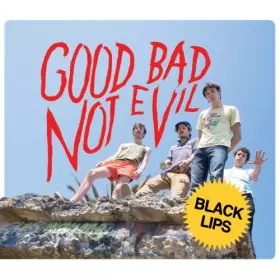 Couverture du produit · Good Bad Not Evil