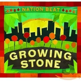Couverture du produit · Growing Stone