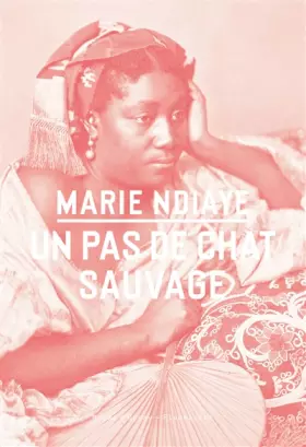 Couverture du produit · Un pas de chat sauvage