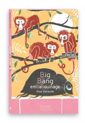 Couverture du produit · Big bang embabouinage