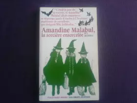 Couverture du produit · Amandine Malabul La Sorciere a DES Ennuis