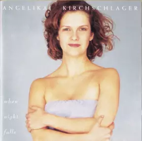 Couverture du produit · When Night Falls