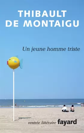 Couverture du produit · Un jeune homme triste