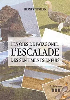 Couverture du produit · Les oies de Patagonie, l'escalade des sentiments enfuis