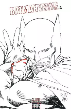 Couverture du produit · Batman. D'Ombre Et De Lumiere, Tome 2