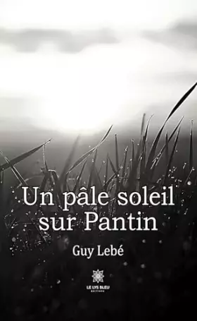 Couverture du produit · Un pâle soleil sur Pantin
